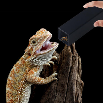 NANEEZOO Cricket Keeper, Equipped with Water & Food Feeding Dish, High Transparency Cricket Pen with Dispenser Tubes, Insect Keeper for Gecko Snake Lizards Reptiles (Large)