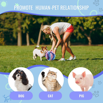 Pet Snuffle Ball, Puzzle Sniffing Interactive Dog Ball for Blind Dogs Training Stress Relief Dog Enrichment Toys Treat Machine Washable (Macarons Color, 10cm)