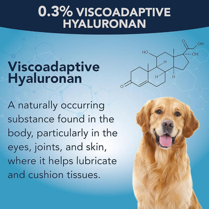 NOVEHA Pet Gel Eye Drops with 0.3% Viscoadaptive Hyaluronan | Eye Solution for Severe Dry Eyes - Long Lasting Hydration, Reduces Nuisance, Swelling & Dryness - Eye Lube for Dog and Cats (2PK - 2x10mL)