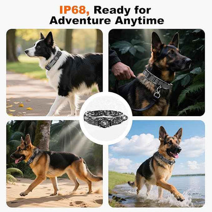 2025 New and Improved AirTag Dog Collar, Military Tactical Dog Collar with AirTag Holder - Adjustable Control Handle, Durable Metal Buckle, Comfortable GPS Dog Collars (M, Black)