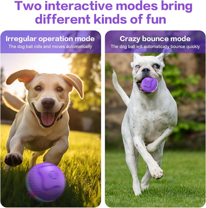 Interactive Dog Toys Ball, Automatic Rolling Toy, Lively pet Ball for Medium/Large Dogs to Relieve Boredom, Activated Automatic Motion Dog Balls Toy with LED Flash, USB Rechargeable (Purple-2)
