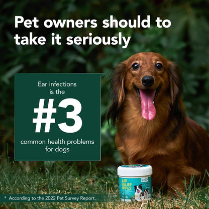 Dog Ear Cleaner Wipes - Dog Ear Infection Treatment Fast Relief from Ear Itching and Inflammation, Cat Ear Wipes Gently Remove Ear Wax Debris and Smelly (100 Pcs, Unscented)