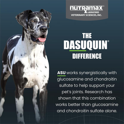 Nutramax Laboratories Dasuquin Joint Health Supplement for Large Dogs - With Glucosamine, Chondroitin, ASU, Boswellia Serrata Extract, and Green Tea Extract, 84 Soft Chews, DASL84SC