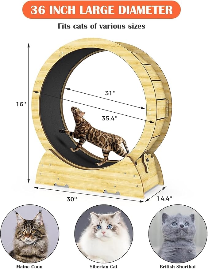 Cat Exercise Wheel for Indoor Cats - Cat Treadmill Wheel with Detachable Carpeted Runway - Natural Solid Wood Sturdy Running Wheel for Running/Walking/Training - Suitable for Most Cats, 36"