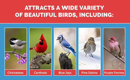 Pennington Select Birder's Blend 15 lbs.