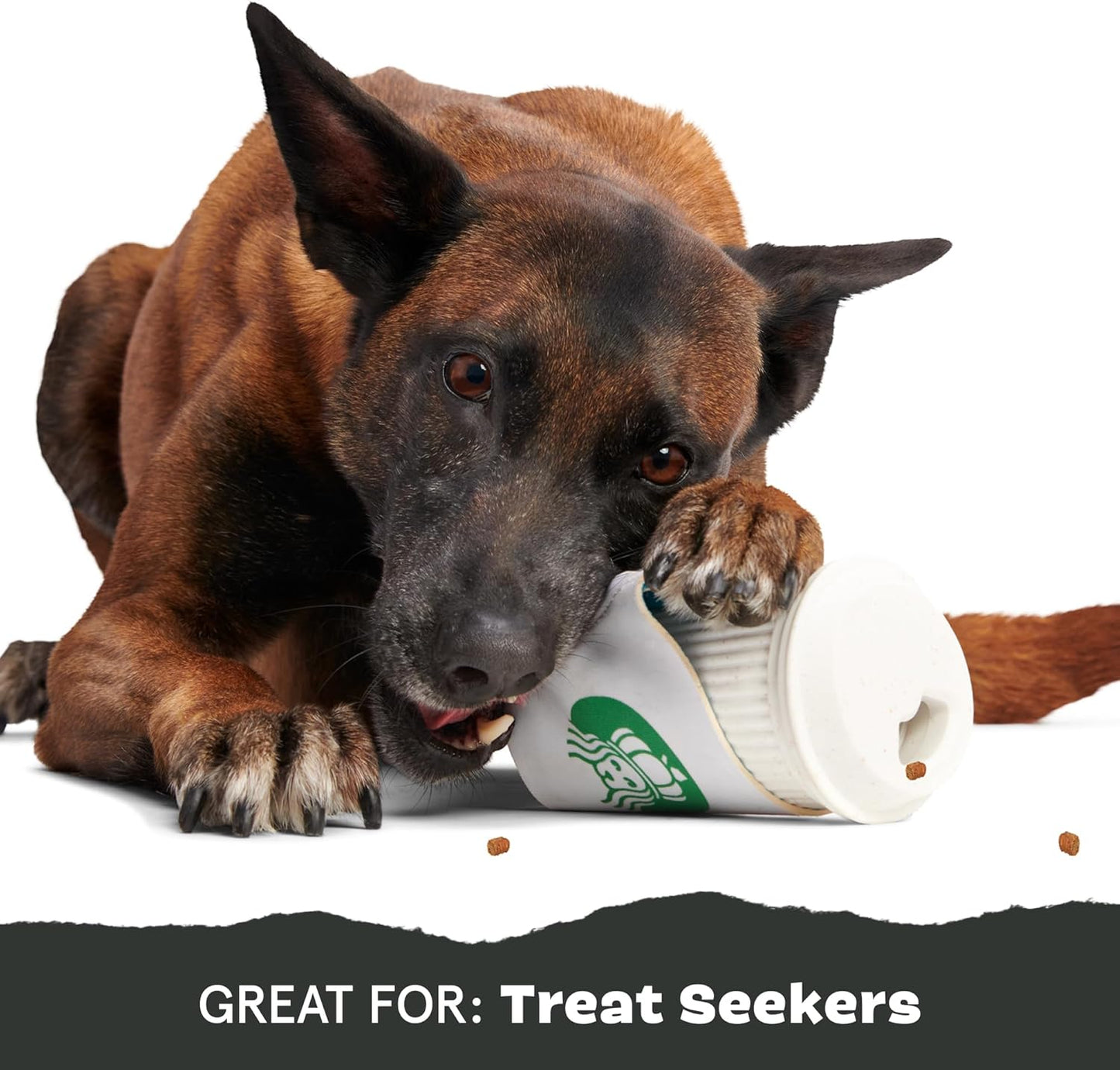 Barkbox Pupkin Spice Latte Plush Dog Toy – Plush Dog Toys – Puppy and Pet Toys for Medium to Large Dogs