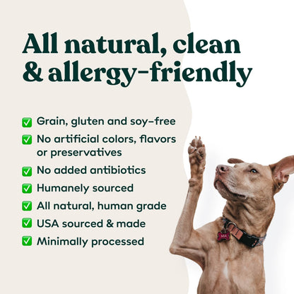 Little Hunter Freeze Dried Dog Treats - Beef Liver - Raw Single Ingredient Beef Liver Dog Treats for Snacks, Training, Dog Food Toppers - All Natural, Healthy Dog & Puppy Treats, 2 oz