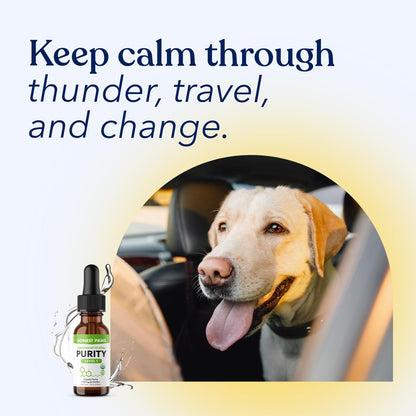 Honest Paws Hemp Oil for Dogs - Natural Hemp Seed Oil Calming Purity Drops for Dogs - Rich in Omega 3 6 9 to Promote Healthy Bones, Joint Support, Relaxation, Managing Normal Stress - Made in The USA