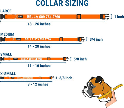 GoTags Personalized Dog Collar with Nameplate, Adjustable Dog Collar with Custom Engraved Slide On Pet ID Tag in Stainless Steel, Silent, No Noise Dog Tag for Large Medium and Small (Orange, Large)