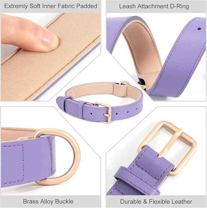 Airtag Leather Dog Collar for Small Medium Large Dog Adjustable Soft Padded Air Tag Puppy Collar Heavy Duty Metal Buckle Collar with Anti-Lost Airtag Holder Protective Case,M,Purple