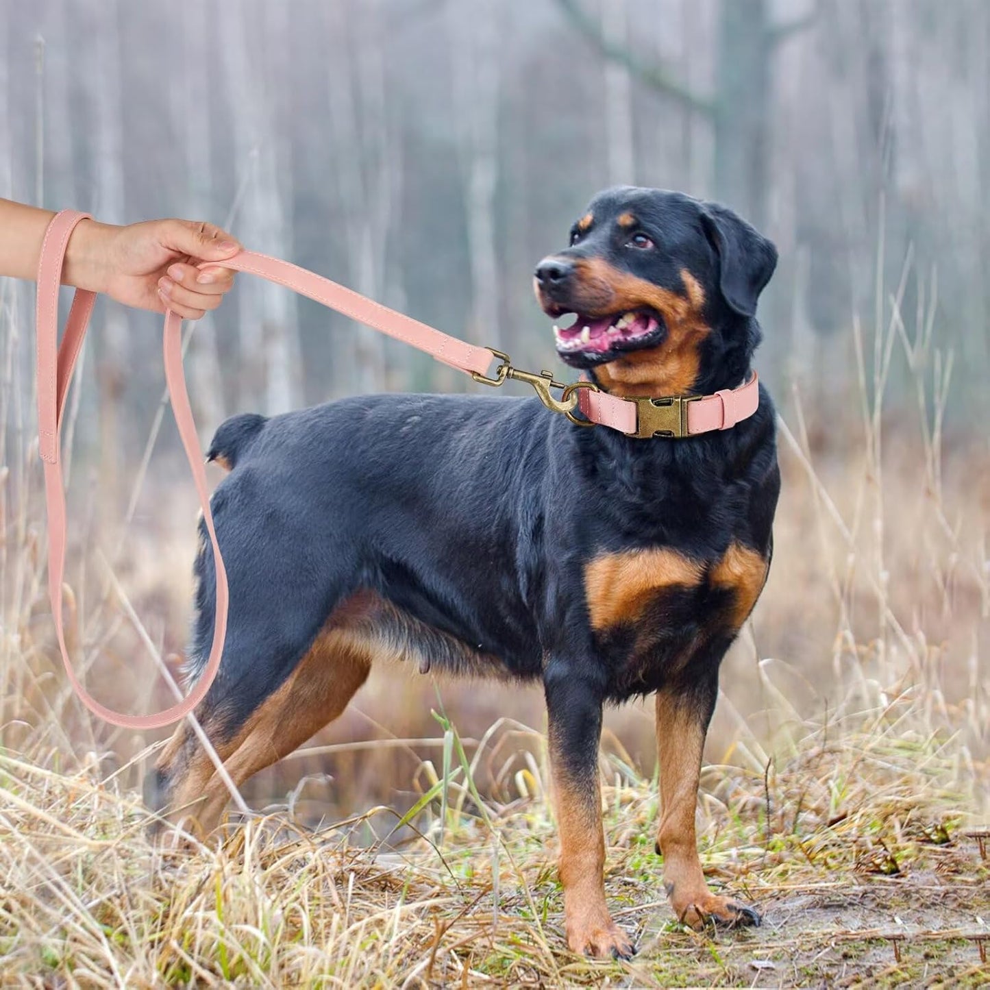 Didog Soft PU Leather Dog Collar, Stylish Quick Released Dog Collars for Large Dogs, Easy Clean Adjustable Pet Collar for Daily Walking, Pink, XL Fit 17-27" Neck