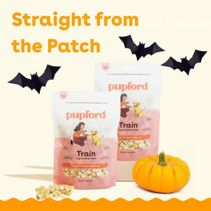 Pupford Freeze Dried Training Treats for Dogs & Puppies, One Ingredient Bites (Pumpkin, 4 oz)