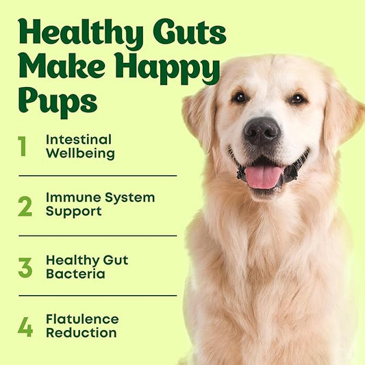 Dog Probiotic Chews Gut Health & Digestive Function Support Anti Diarrhea Upset Stomach & Gas Relief Yeast Balance Allergies & Itching Prebiotic Supplement Chews - 120 pcs