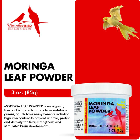 Morning Bird Moringa Leaf Powder 3 oz – Natural Food Supplement for Birds, Rich in Vitamins & Minerals, Boosts Immune System & Energy, Supports Healthy Feathers, Digestion, and Overall Avian Wellness