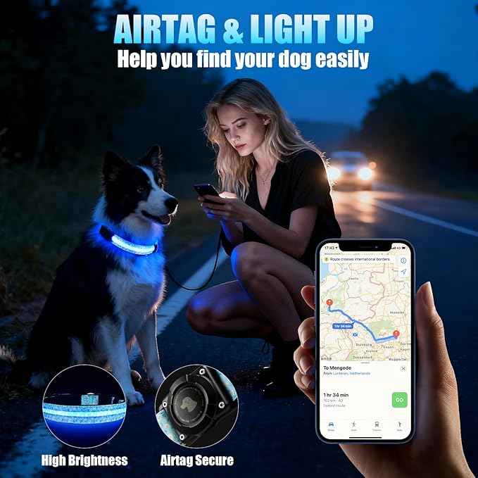 LED AirTag Dog Collar - Brightest Light Up Dog Collars - IP68 Waterproof Air Tag Dog Collar Holder - 1,600 Feet of High Visibility - Magnetic Charging - Dog Lights for Night Walking (Daisy, L)