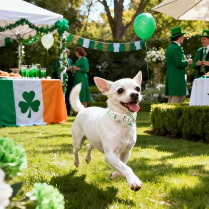 DOGWONG St Patrick's Dog Collar, Green Clover Pet Collar Cotton Flower Shamrock Pet Collar Cute Puppy Collar Adjustable Pet Dog Collars for Medium Dogs,M