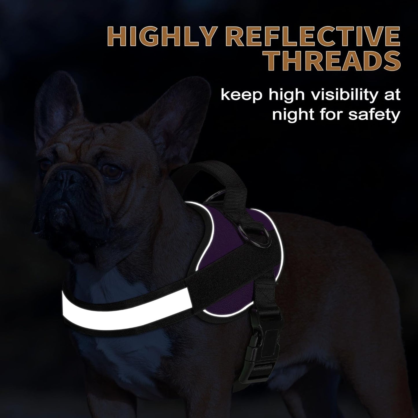 Haapaw Essential Dog Harness, No Pull Pet Vest with 3 Leash Clips, No Choke, Reflective, Adjustable and Padded, for Easy Walking and Training for Small Dogs(S, Purple)