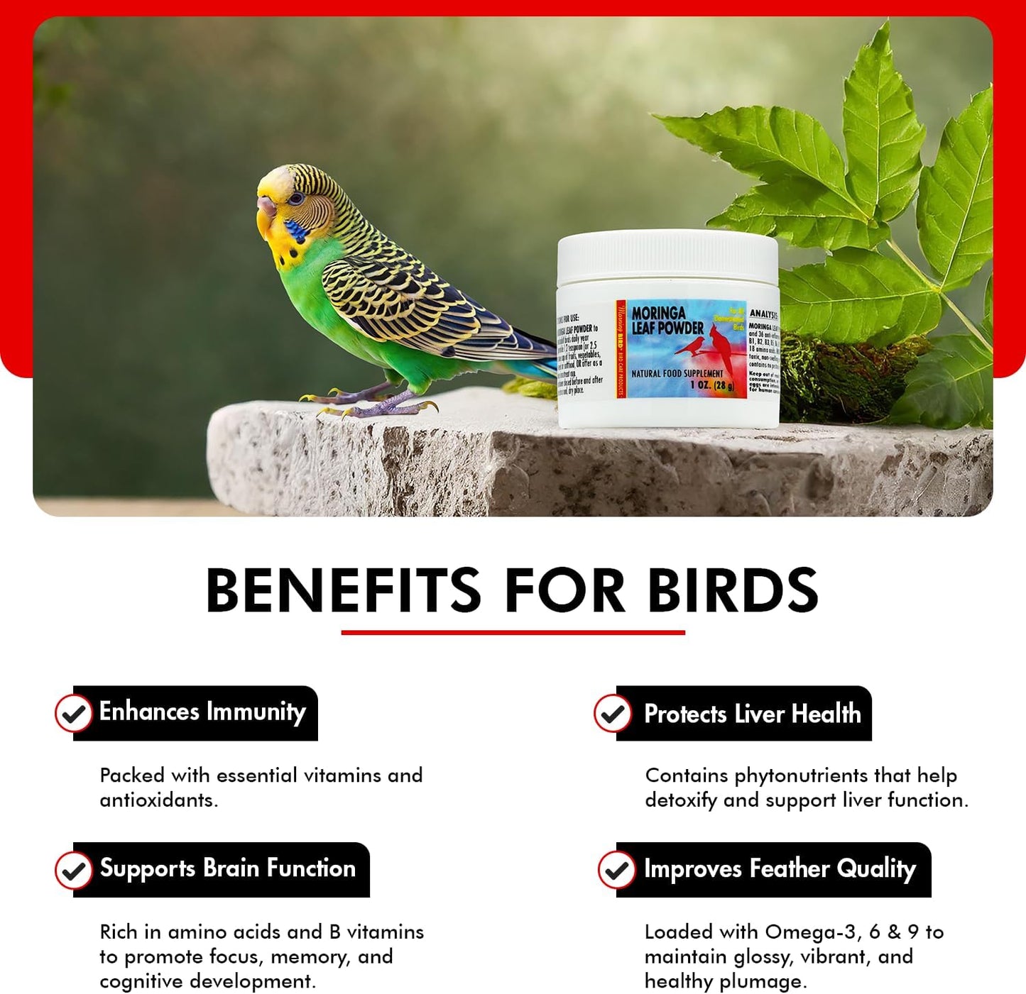 Morning Bird Moringa Leaf Powder 1 oz – Natural Food Supplement for Birds, Rich in Vitamins & Minerals, Boosts Immune System & Energy, Supports Healthy Feathers, Digestion, and Overall Avian Wellness