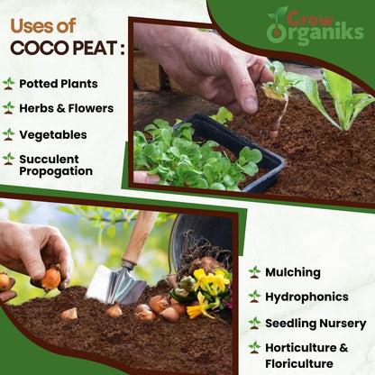 4 Pack Premium Coco Coir Brick for Plants | 100% Organic Compressed Coconut Coir Bricks Starting Mix, Coco Coir Fiber Coconut Husk for Planting, Gardening, Potting Soil Substrate, Herbs, 1.4 LB/Brick