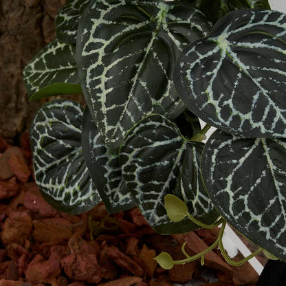 Reptile Plants for Terrarium, Amphibian Habitat Decor Artificial Hanging Plants with Suction Cup - Fake Anthurium Crystallinum