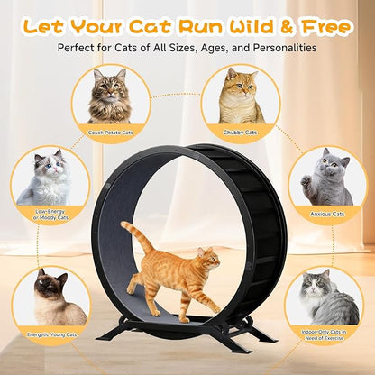 GTPLAYER Cat Wheels, Large Cat Exercise Wheel for Indoor Cats, 40"Diameter cat treadmill Detachable Carpet & Teaser, stickers, Ultra-quiet scroll wheel With latch, Suitable for Most Cats, Metal, Gray