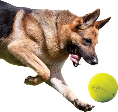 Nerf Dog Rubber Ball Dog Toy with Squeaker, Lightweight, Durable and Water Resistant, 4 Inch Diameter for Medium/Large Breeds, Single Unit, Green