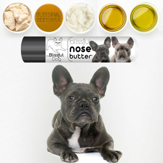 The Blissful Dog Blue French Bulldog Unscented Nose Butter - Dog Nose Butter, 0.15 Ounce