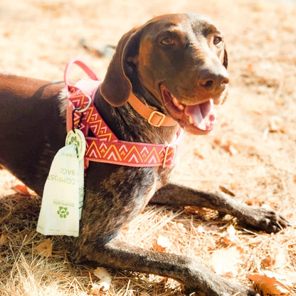 Pawtria Certified Home Compostable Dog Poop Bags (120) + Pink Poop Bag Carrier, Biodegradable Poop Bags, Vegetable Starches, Leak proof Dog Waste Bags, Light-weight silicone made bag carrier