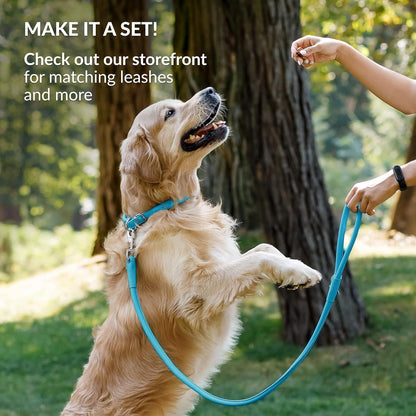 CollarDirect Rolled Leather Dog Collar, Soft Padded Round Puppy Collar, Handmade Genuine Leather Collar Dog Small Large Cat Collars 13 Colors (6 Inch, Light Blue)