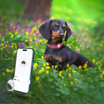 AirTag Dog Collar - Genuine Leather Dog Collar with Apple AirTag Holder and Metal Buckle - Smart GPS Tracking Pet Collars (Pink, M, 14"-18" Neck Fit)