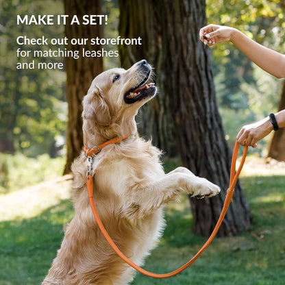 CollarDirect Rolled Leather Dog Collar, Soft Padded Round Puppy Collar, Handmade Genuine Leather Collar Dog Small Large Cat Collars 13 Colors (18-22 Inch, Orange Smooth)