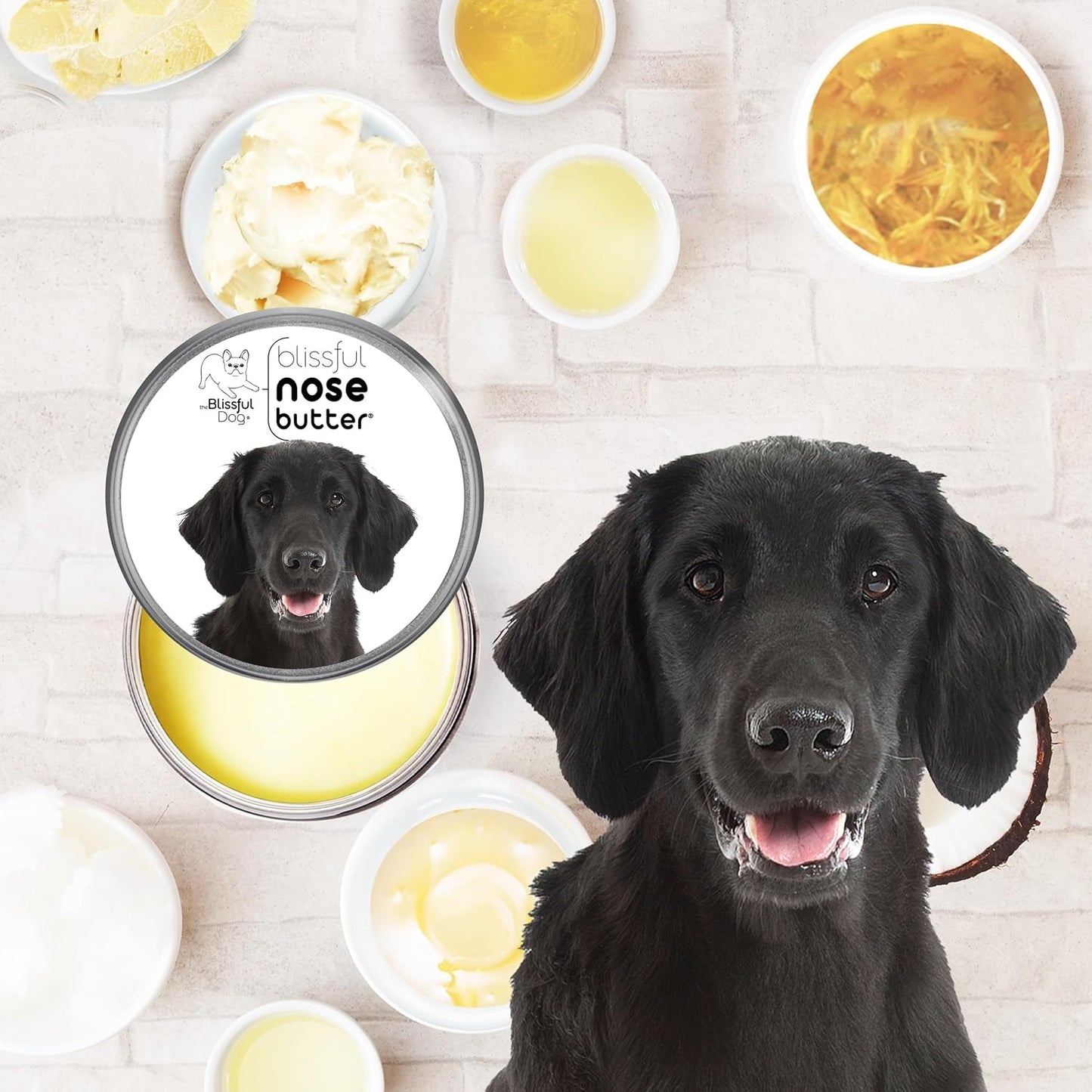 The Blissful Dog Flat-Coat Retriever Unscented Nose Butter - Dog Nose Butter, 4 Ounce