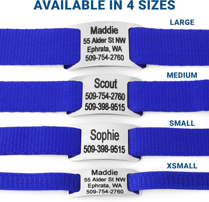 GoTags Personalized Dog Collar with Nameplate, Adjustable Dog Collar with Custom Engraved Slide On Pet ID Tag in Stainless Steel, Silent, No Noise Dog Tag for Large Medium and Small (Blue, Medium)