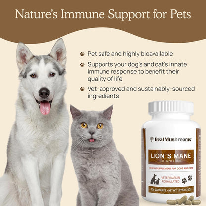 Real Mushrooms Lion’s Mane Pet Mushroom Supplement – Pet Wellbeing Capsules – for Cat & Dog Supplement & Vitamins – Support Mindful Routines – Organic, Vegan, Non-GMO, 120 Count