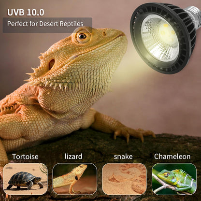 UVB Light Bulb for Reptiles, LED 3W 10.0 UVA UVB Heat Lamp Bulbs Ideal for Rainforest Reptiles, Bearded Dragons Lizard Turtle Tortoise Iguanas Chameleons Snake (2 Pack)