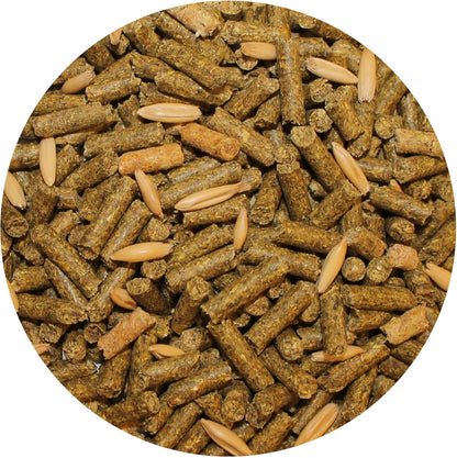 Exotic Nutrition Degu Diet (18lb) - Nutritionally Complete Healthy Pellet Diet with Whole Oats - for Domesticated Pet Degus