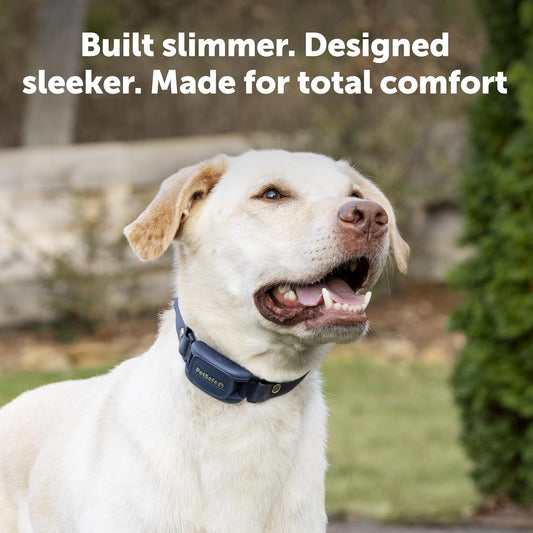 PetSafe Pro Dog Trainer with Remote – Waterproof Training Collar – 1000 ft Range – Tone, Vibration and 19 Levels of Static - Add-A-Dog Compatible – Sleek Remote Training Collar