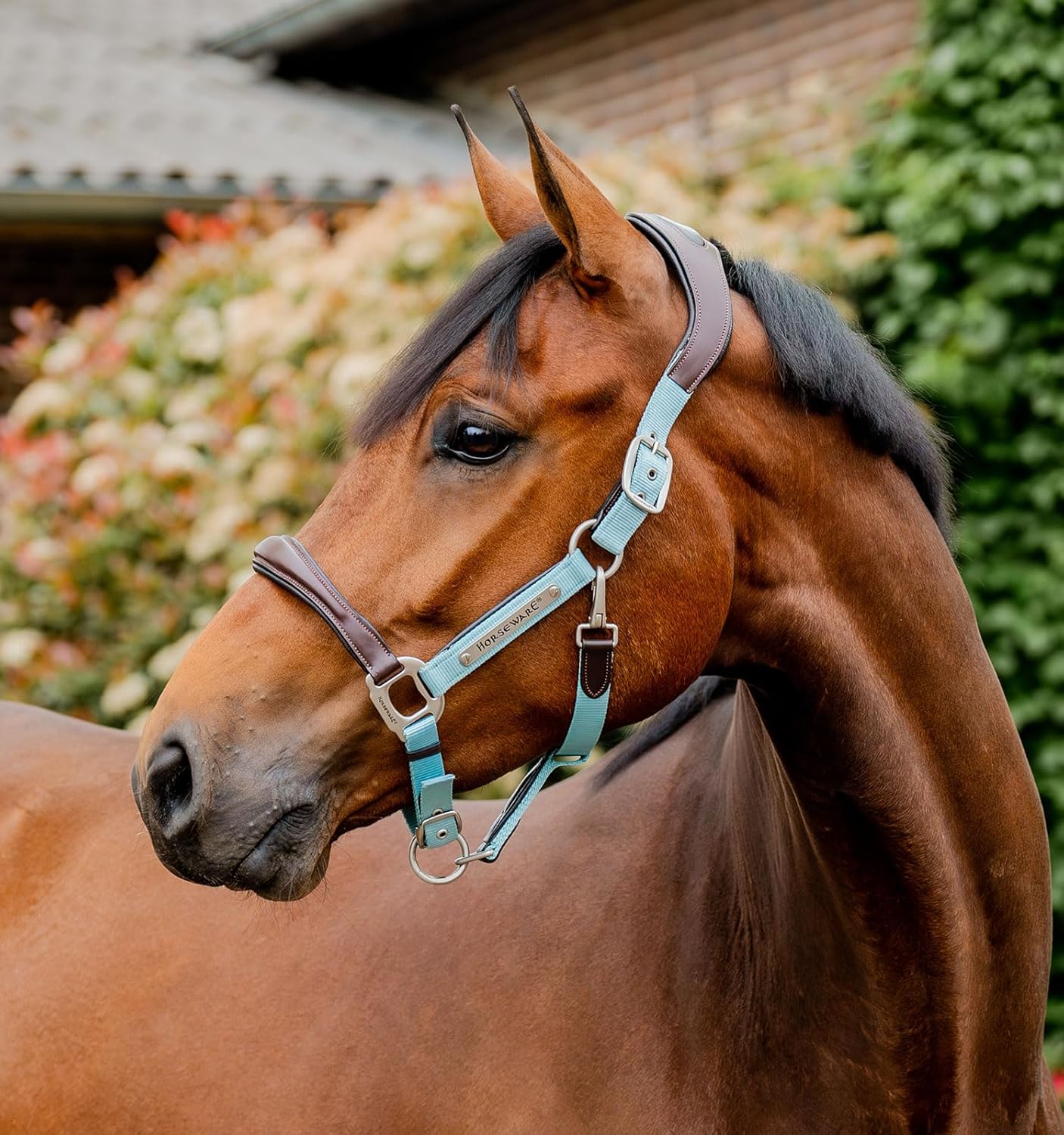 Horseware® Signature Competition Halter