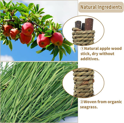 Fhiny 12 PCS Guinea Pigs Chew Toys, Natural Apple Branch Seagrass Molar Sticks for Teeth Bunny Chew Toys Cage Accessories for Guinea Pigs Rabbit Bunny Hamster Chinchilla