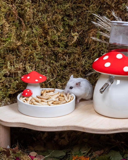 Niteangel Small Animal Snack & Treats - Small Critter Natural Treat for Dwarf Syrian Hamsters Gerbils Mice Sugar Glider Hedgehogs Chickens Birds (Freeze-Dried Worms- 0.9oz (25g))