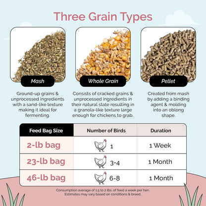 Organic Chicken Feed – Layer Mash, Non-GMO, USA Grown, 16% Protein, Corn-Free, Soy-Free, Non-Medicated Feed for Chickens, 2 lbs Sample