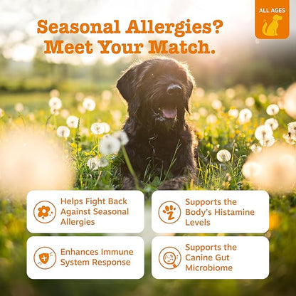 Zesty Paws Dog Allergy Relief Chews, Dog Probiotics for Itchy Skin and Ears, Salmon, 90ct