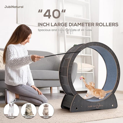 Cat Exercise Wheel, 43" Cat Running Wheel for Indoor Cats with Quiet Carpeted Runway, Cats Treadmill Wheels with Locking Mechanism, Cat's Weight Loss and Health - Black