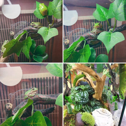 Fhiny 2 PCS Reptile Corner Branch, Resin Climb Tree Branch Decor with Leaves Tank Accessories Terrarium Plant Ornament with Suction Cup for Snake Lizard Bearded Dragons Gecko Climbing