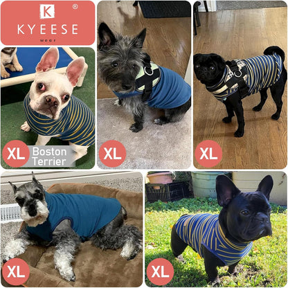 KYEESE 2Pack Dog Sweater Pullover Dog Sweaters for Small Dogs Male Warm Pet Coats Stretchy Dachshund Clothes Soft Pet Sweatshirt Turtleneck Dogs Clothes