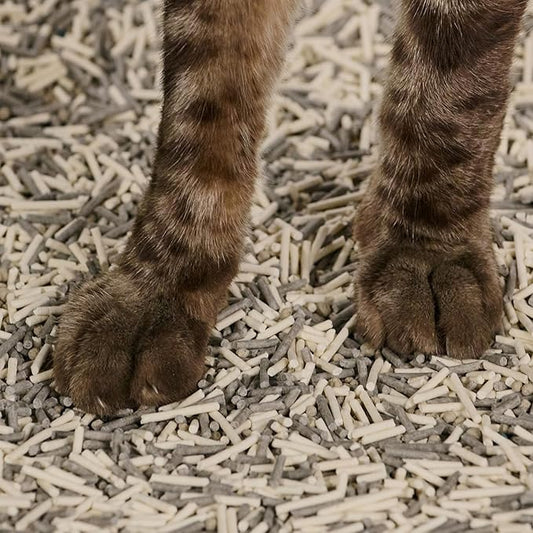 Tuft & Paw Really Great Cat Litter OdorStop, Low Tracking Mixed Tofu Cat Litter, Clumping, Multi-cat, Odor Control, Dust-Free - 9.25lbs x 2Bags (OdorStop)