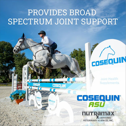 Nutramax Cosequin ASU Joint Health Supplement for Horses - Powder with Glucosamine, Chondroitin, ASU, and MSM, 500 Grams