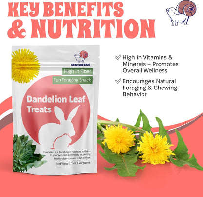 Snout and Shell Dandelion Leaf Treat for Small Pets – 1 oz (28g) | High-Fiber, Natural Foraging Snack for Rabbits, Guinea Pigs, Chinchillas, Squirrels & More