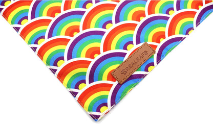 Realeaf Pride Dog Bandanas 2 Pack, LGBT LGBT+ Rainbow Scarves Bibs for Dogs, Premium Durable Fabric, Triangle Reversible Bandana for Small Medium Large and Extra Large Dogs Pets (Pride Day, Large)
