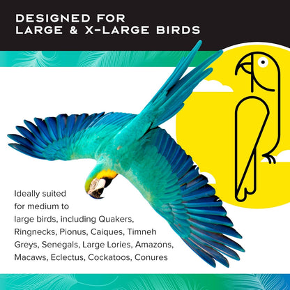 Paradise Toys Bird Creative Foraging System Wheel, Spins with Food Inside, 6” Diameter